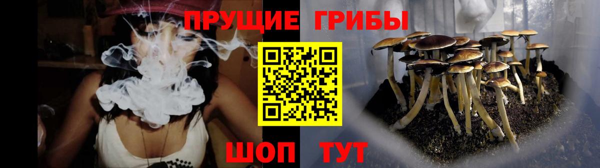 Галлюциногенные грибы мухоморы  Вход с VPN  наркотики  Зеленогорск 